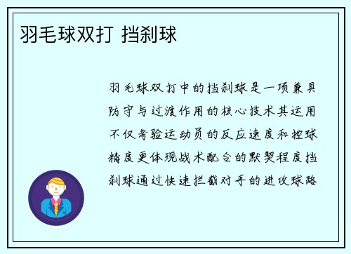 羽毛球双打 挡刹球